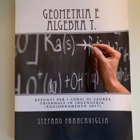 Geometria e algebra