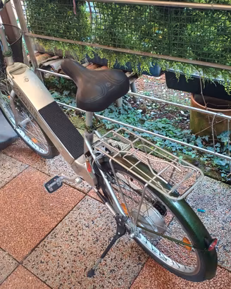 bici elettrica 