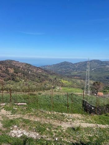 Terreno agricolo con fabbricato rurale