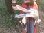 Immagine 2