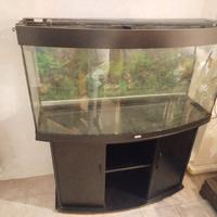 Acquario curvo completo (mobile + luci + pompa e )