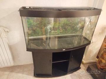 Acquario curvo completo (mobile + luci + pompa e )
