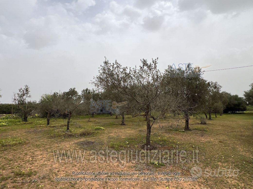 Appartamento – Vittoria, Ragusa - Vista 2