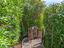 Immagine 28