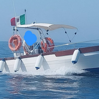 Gozzo vetroresina