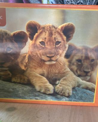 Puzzle 3D