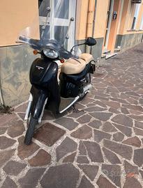 Aprilia Scarabeo50
