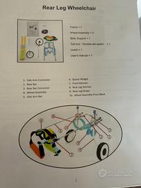 Carrellino per cane tetraplegico