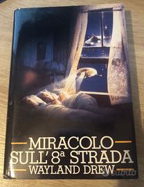 Miracolo sulla 8ª strada di Wayland Drew