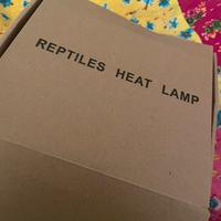 Lampada x tartaruga terrestre