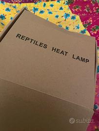 Lampada x tartaruga terrestre