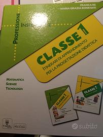 professione insegnante matematica 1