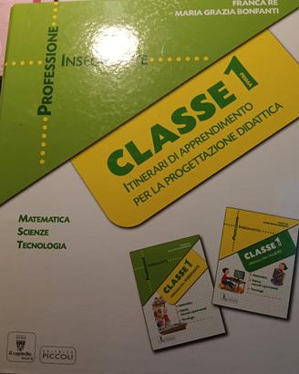 professione insegnante matematica 1