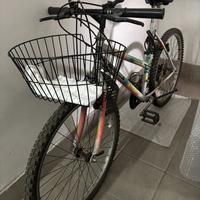 Bicicletta