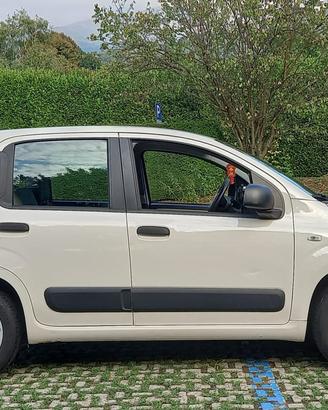 Fiat Panda 1.2 Benzina (2015)