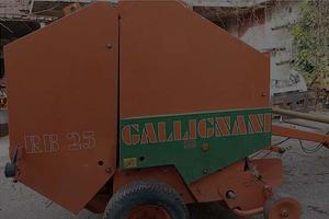 Rotopressa gallignani