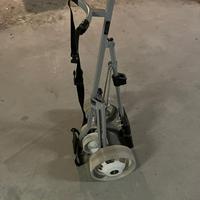 Carrello golf