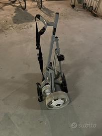 Carrello golf