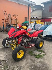 Quad Dinli 450 DL 901 (EW) - 2006