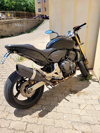 Honda Hornet 600 anno 2009