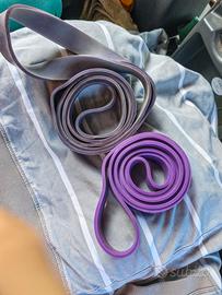 2 elastici palestra esercizi come nuovi 