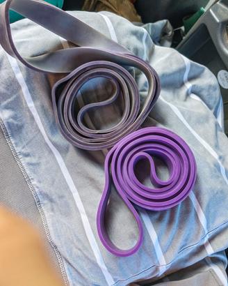 2 elastici palestra esercizi come nuovi 