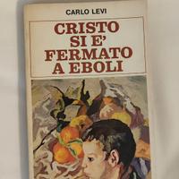 Cristo si è fermato ad Eboli 