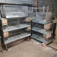 Gabbie per allevamento volatili