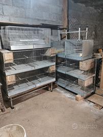 Gabbie per allevamento volatili