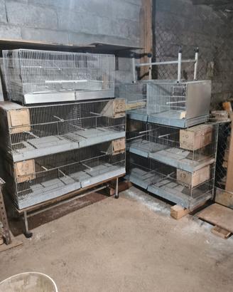 Gabbie per allevamento volatili