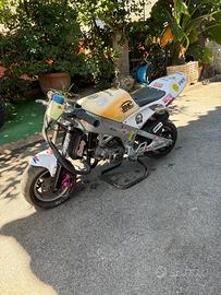 Minimoto replica polini