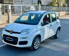 Fiat Panda EURO6B natural power metano NEOPATENTAT