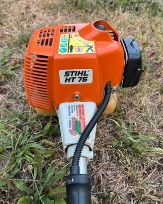 Sramatore potatore Stihl HT75
