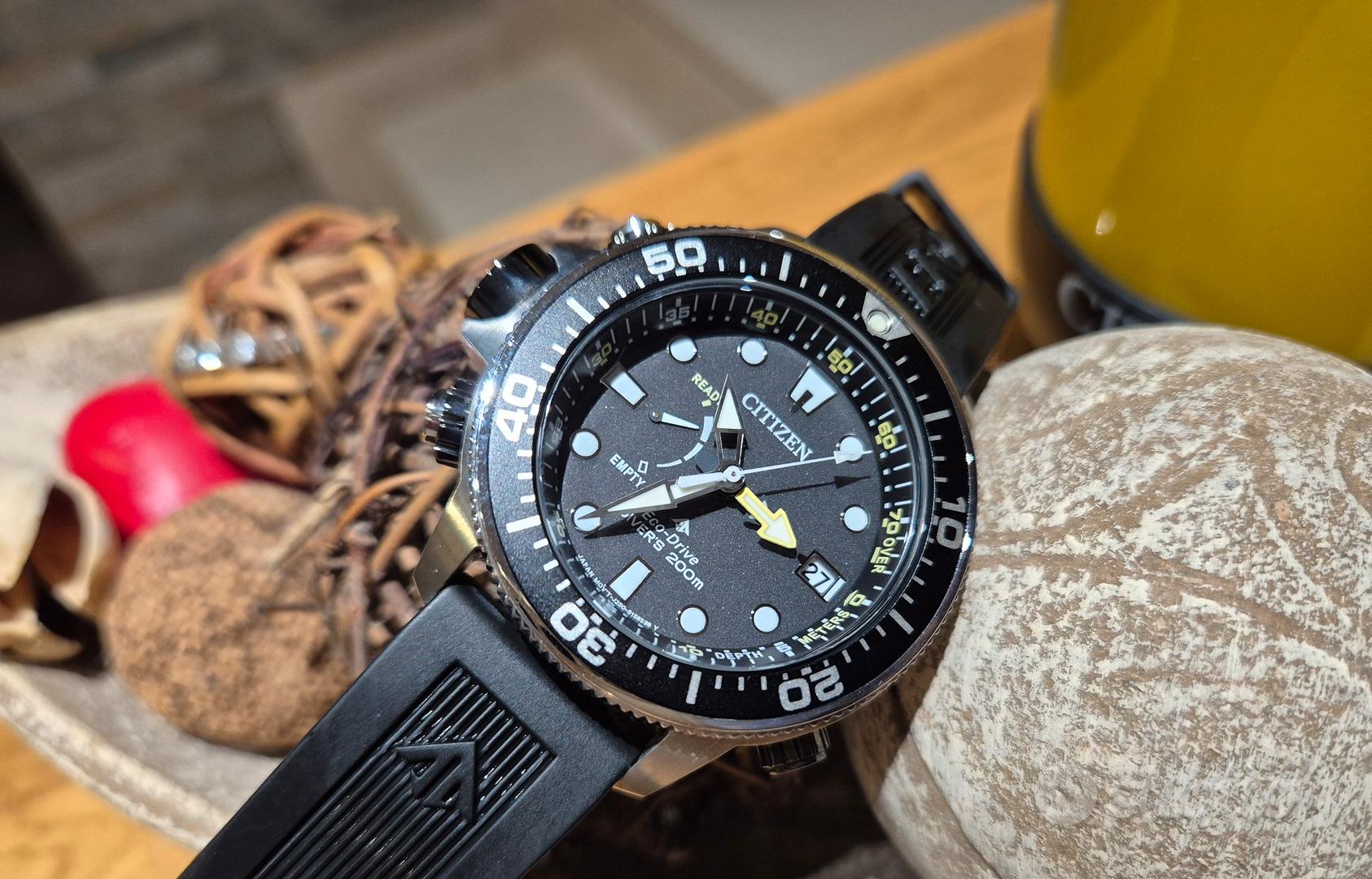 citizen promaster