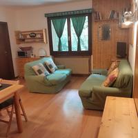 Trilocale a Madonna di Campiglio