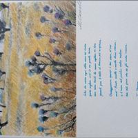 litografia FIRMATA e NUMERATA DA Michele Cascella 