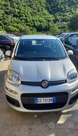 FIAT Panda pop 1.2 Benzina