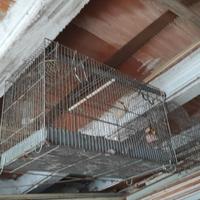 4 vecchie gabbie per uccelli varie dimensioni 
