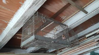 4 vecchie gabbie per uccelli varie dimensioni 