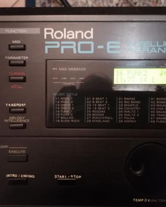 Roland Pro-E Intelligent Arranger+14 Style Card