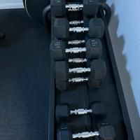 Kit Manubri Technogym  + Rastrelliera