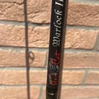 Canna da pesca siluro