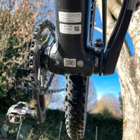 MTB Focus Raven