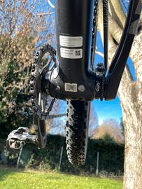 MTB Focus Raven