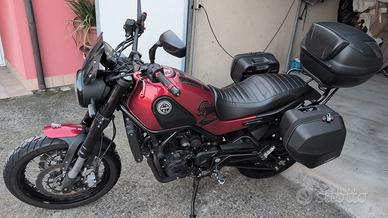 Benelli Leoncino 500