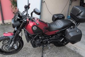 Benelli Leoncino 500