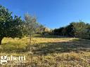 terreno-agricolo-patti-cod-rif-3386717vcg-