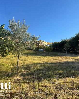 Terreno Agricolo Patti [Cod. rif 3386717VCG]