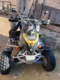 Bombardier Gs Baja 650 (can-am)