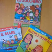 come nasce LO ZUCCHERO- GUSTO E OLFATTO- IL MARE